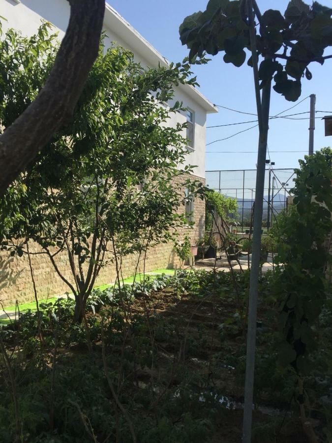 Elite Apart Pansiyon İmroz Exteriör bild